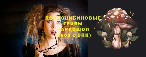гидропоника Верея
